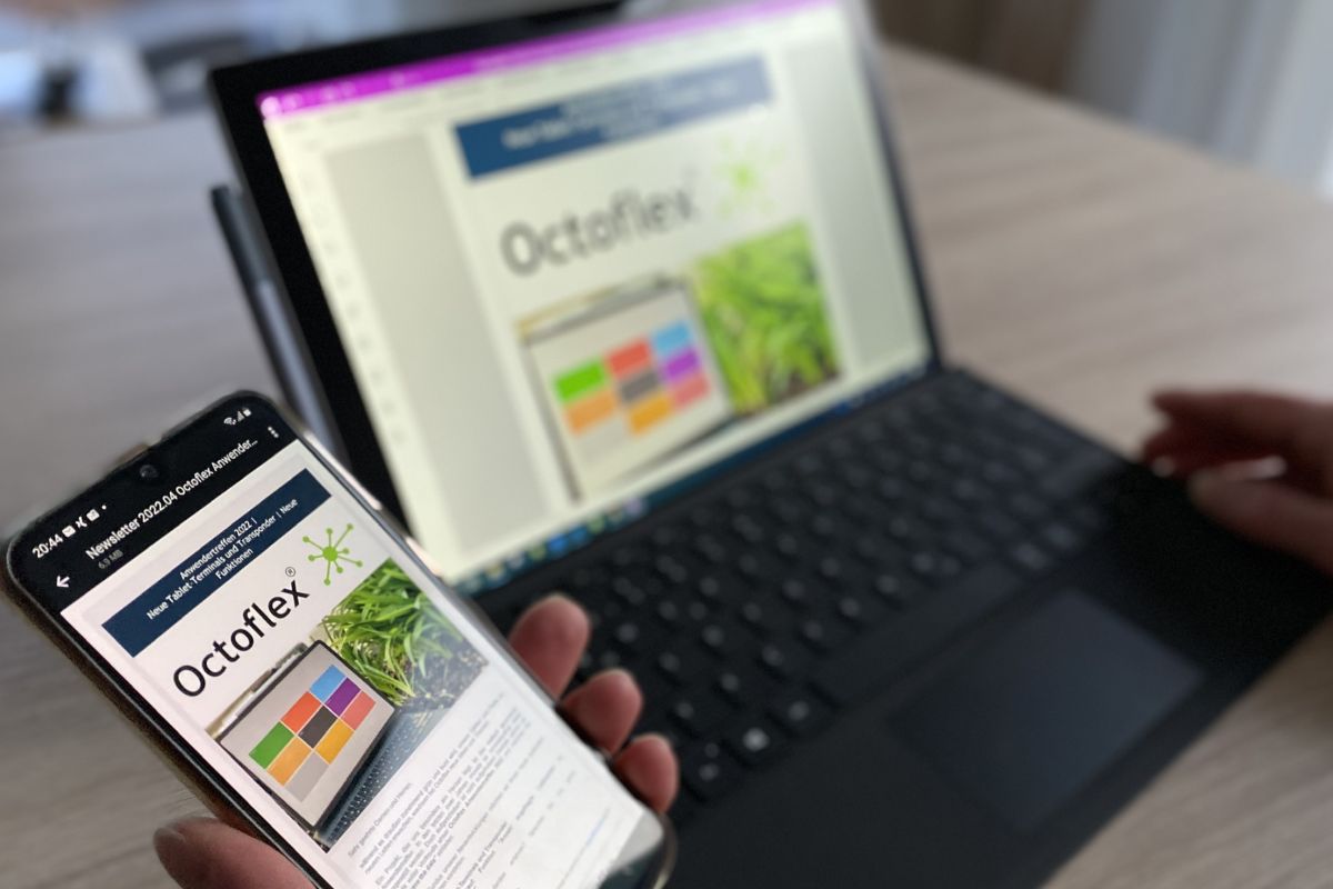 Header-Image Octoflex Newsletter